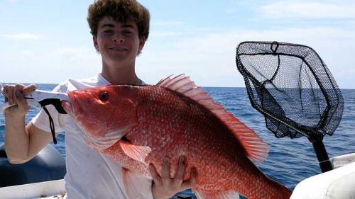 Red-Snapper-30-inch---Marcus-in-April-2017-(2)